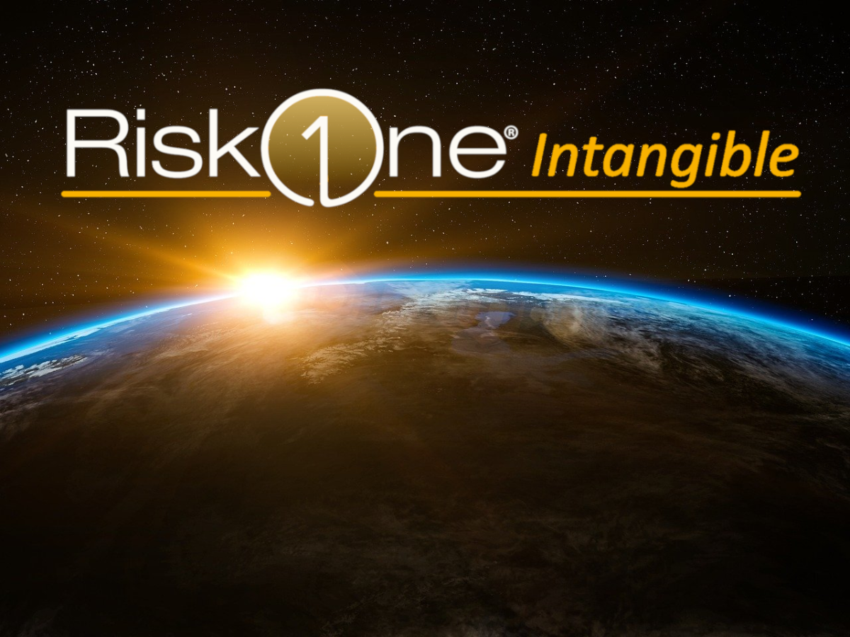 RiskOne Intangible