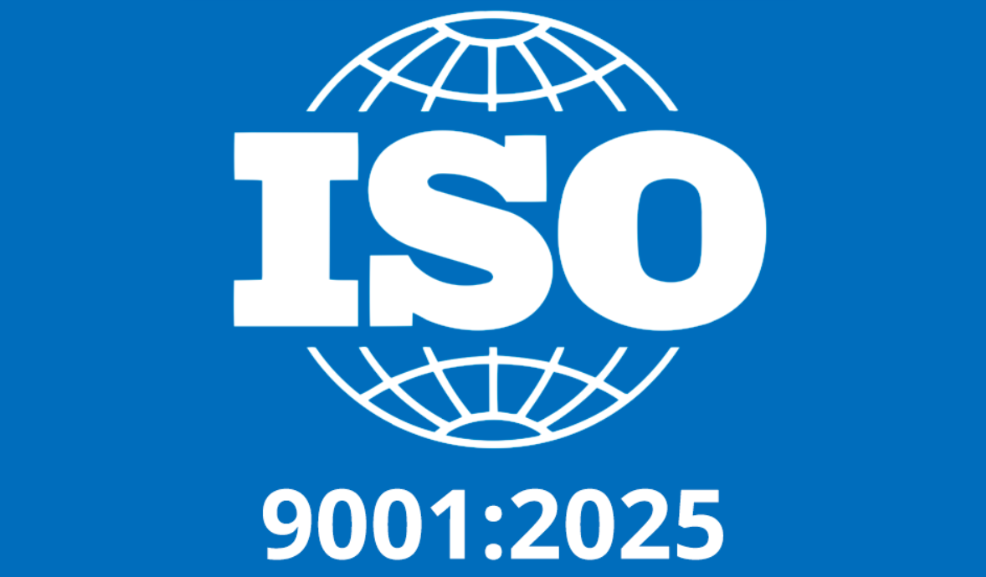 nuova iso 9001 dis luglio 2025 alberto mari consulente organizzazione aziendale